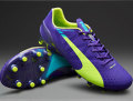 Puma evoSPEED 1.3 FG  Ѥɫ