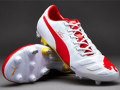 Puma evoPOWER 1 FG Special Edition