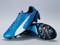 ʯ֮䣬PUMA evoSPEED 1.3 FG 