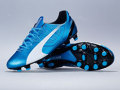 ɫ----PUMA evoSPEED 4.3 HG 