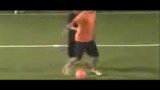 ����������ι���Part 2-���������ѧӰƬ