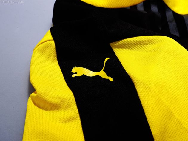 黄色美洲狮 多特蒙德15\/16赛季主款训练服 - 球