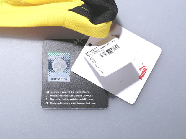 黄色美洲狮 多特蒙德15\/16赛季主款训练服 - 球