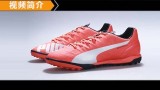 ���ұŷ� PUMA evoSPEED 4.4 TT �Ȱ���ɫ����Ь