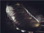 ����սѥ��Umbro Accelerator Gale�����ǳ�