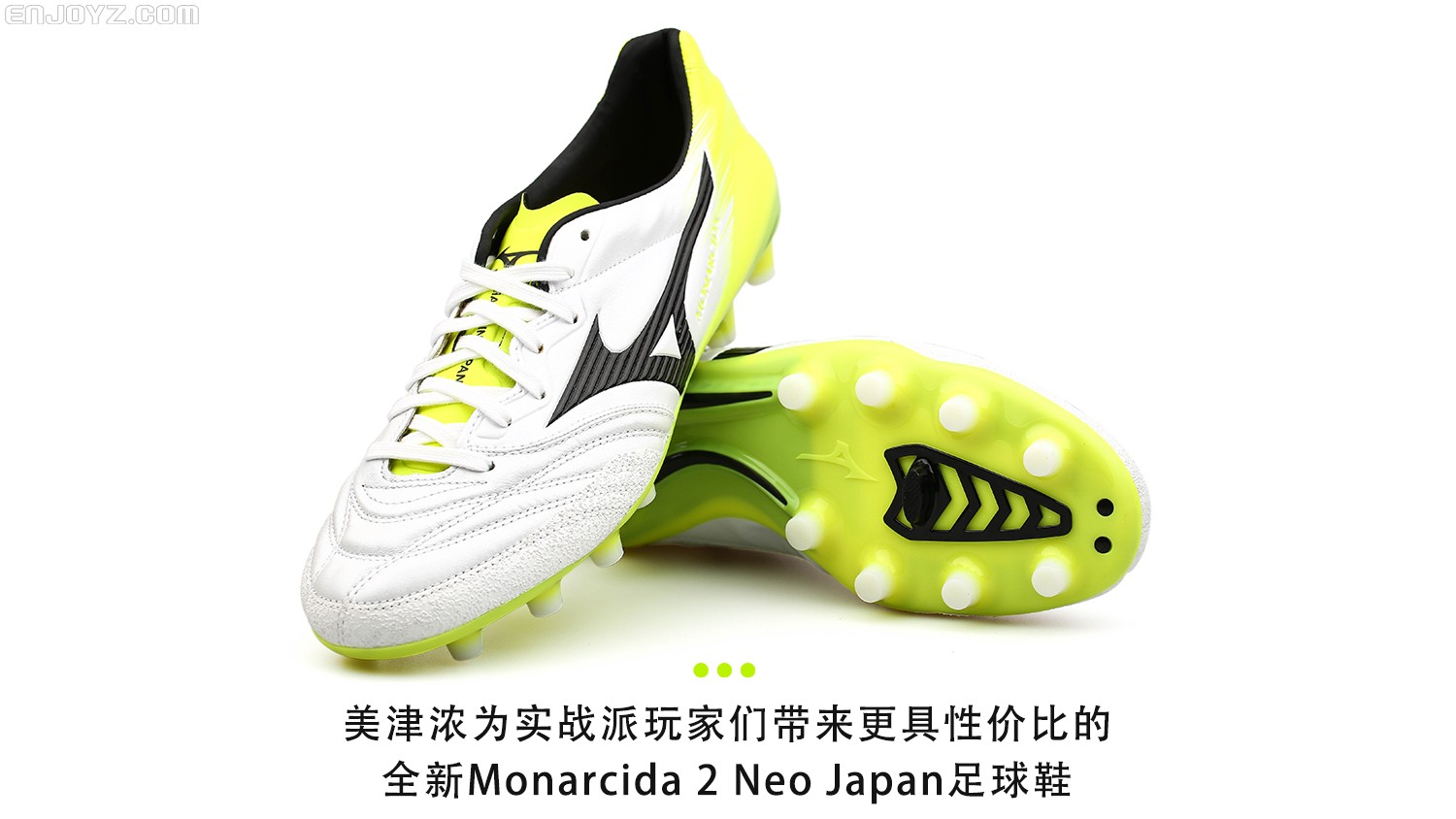 monarcida 2 neo japan