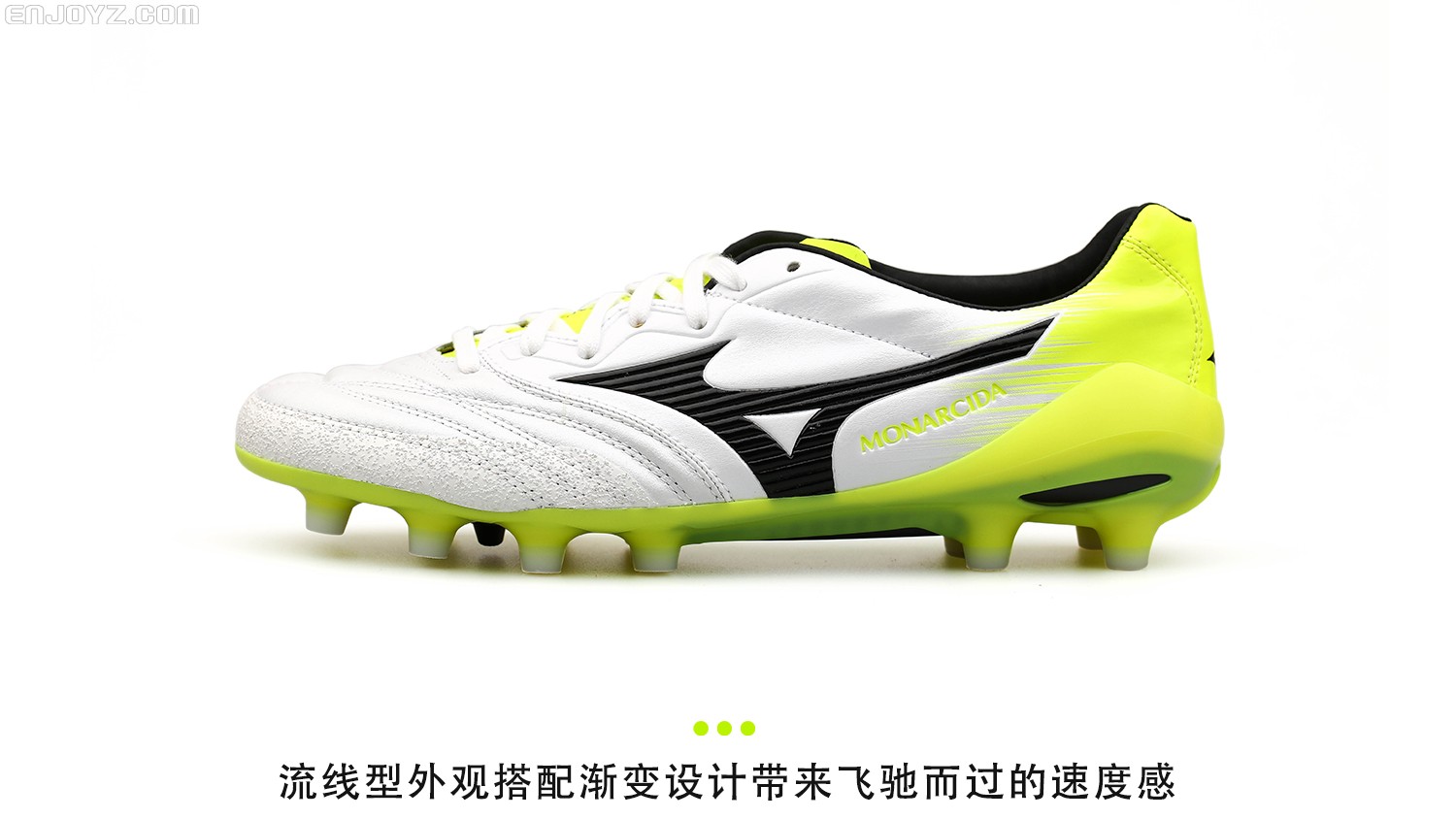 monarcida 2 neo japan