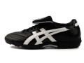  asics 2002 TF