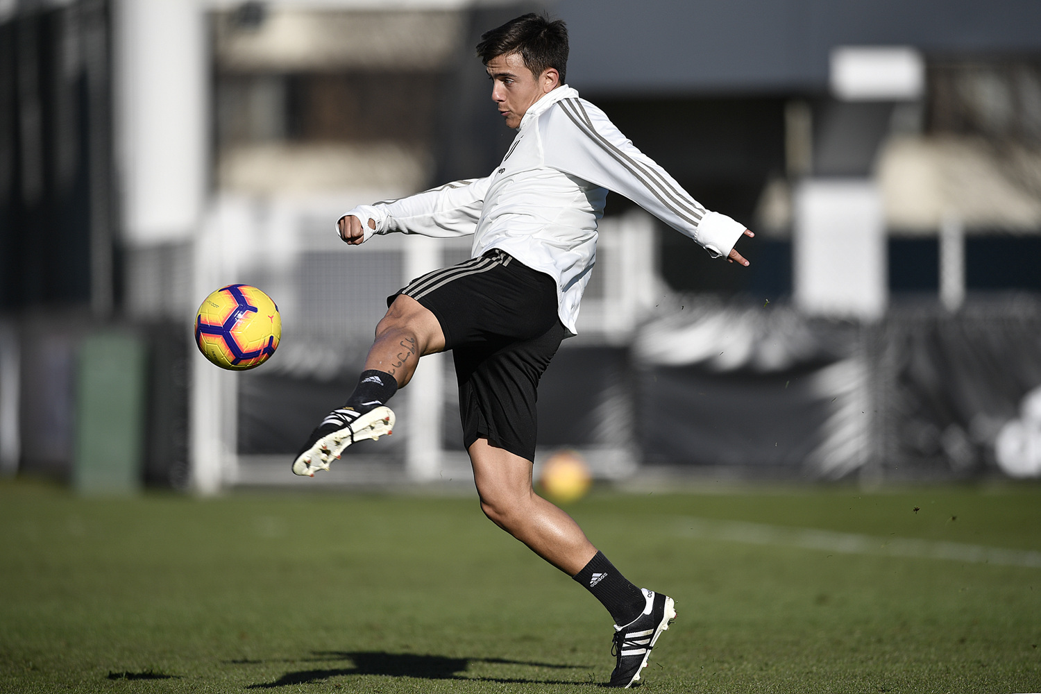 迪巴拉训练上脚adidas copa 70y限量足球鞋 - 球鞋 - 足球鞋足球装备