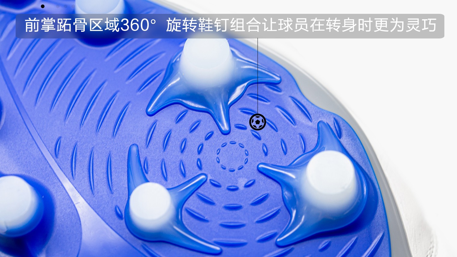 p1ga207025