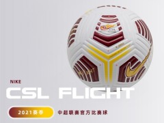 Nike CSL Flight 2021гٷ