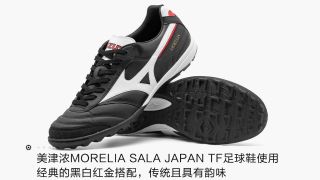 morelia sala japan tf