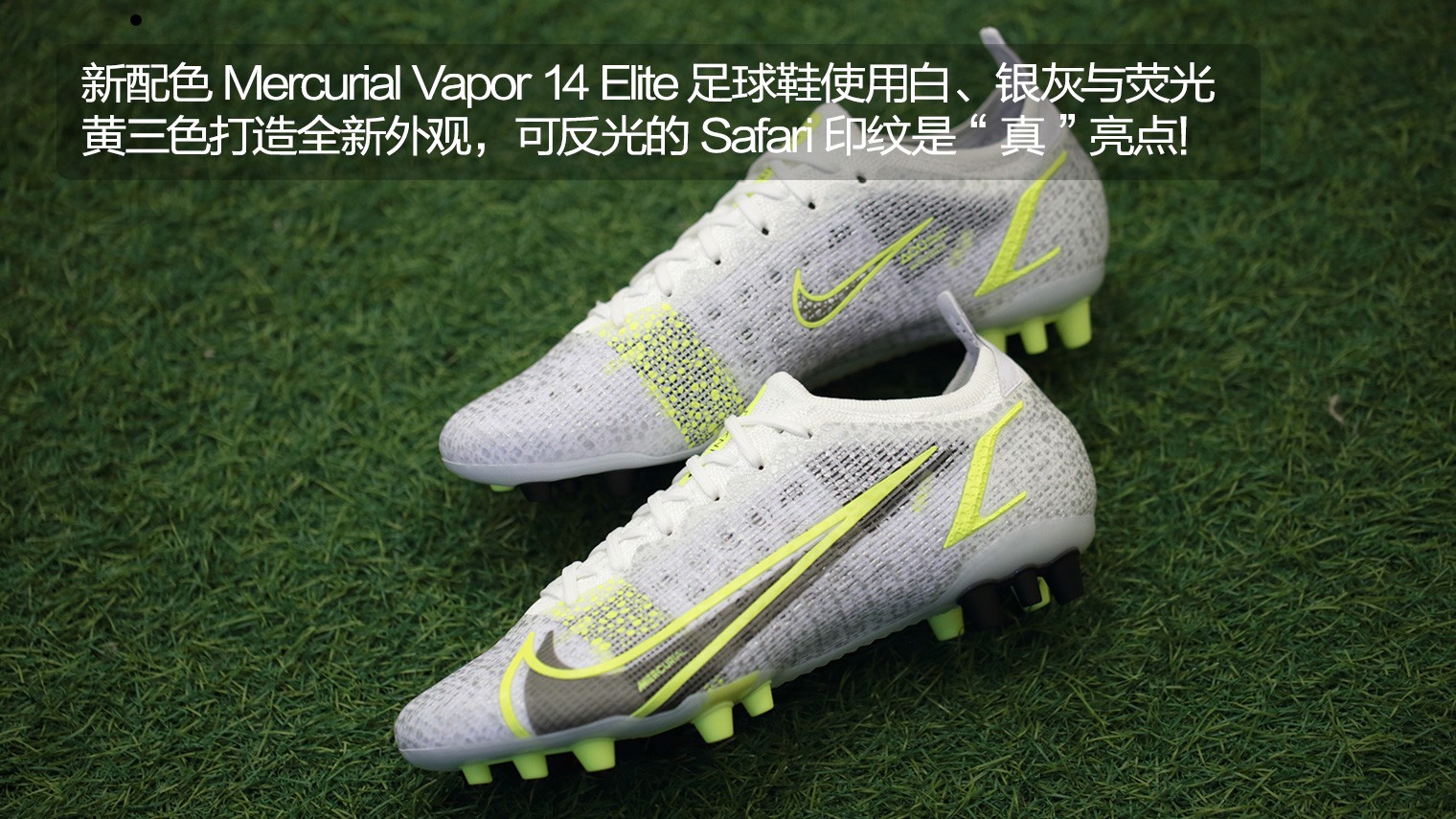 mercurial silver safari
