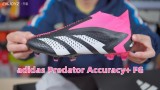 ϴ˹Predator AccuracyϵЬ