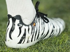 adidas Copa Pure 2 'White Tiger' by PeteZheng