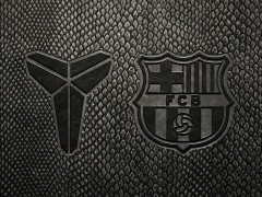 NikeKobeƳ25/26ͳ
