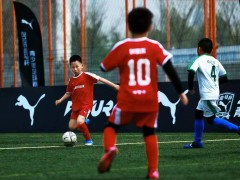 2026��������������������ʽ����